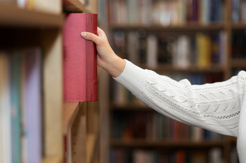 Organizar el Lanzamiento Perfecto para tu Libro