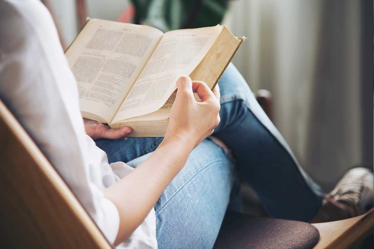 Entender qué libro se está construyendo