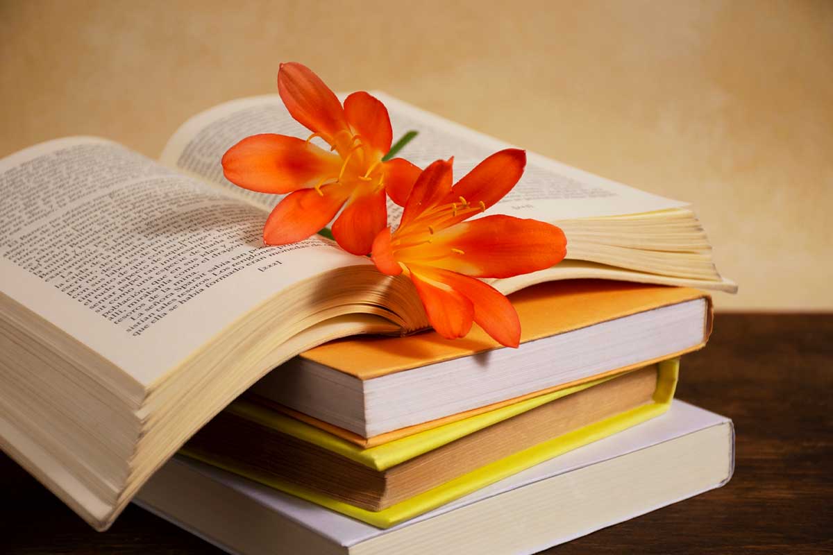Fortalece tu proceso de reescritura con observaciones concretas